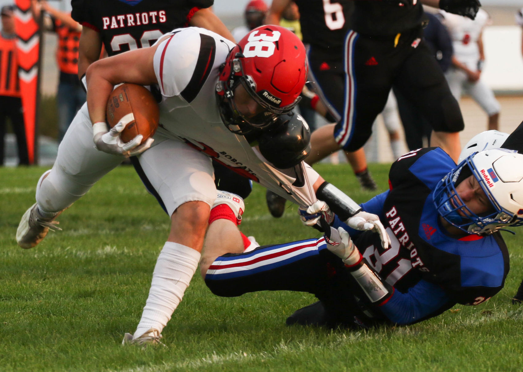 Douglas vs Brookings